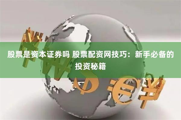 股票是资本证券吗 股票配资网技巧：新手必备的投资秘籍