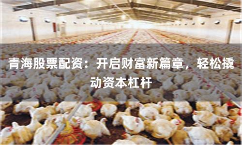 青海股票配资:开启财富新篇章,轻松撬动资本杠杆
