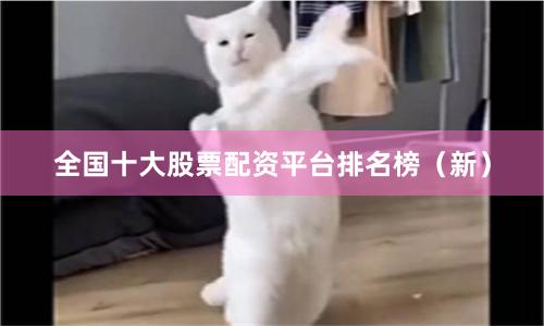 全国十大股票配资平台排名榜(新)