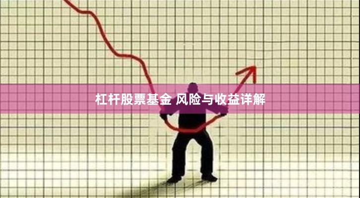 杠杆股票基金 风险与收益详解